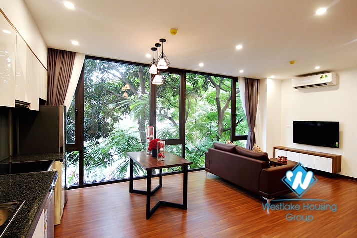 Beautiful one bedroom apartment for rent on Tu Hoa street 
